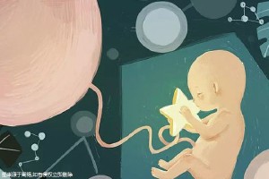 供卵代怀生子代生生男孩